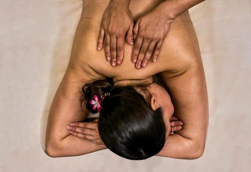 בית מלון כפרי Live Aqua Monterrey