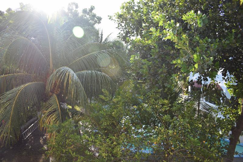 בית מלון כפרי Mansion Giahn Bed & Breakfast