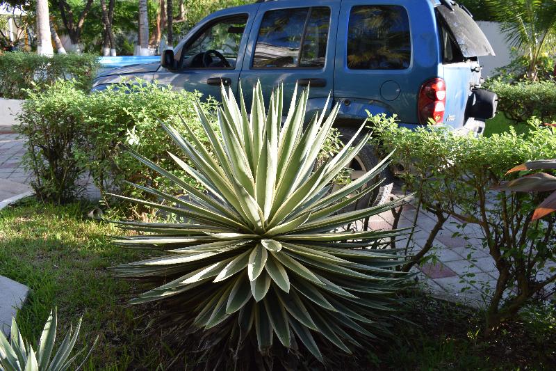 בית מלון כפרי Mansion Giahn Bed & Breakfast