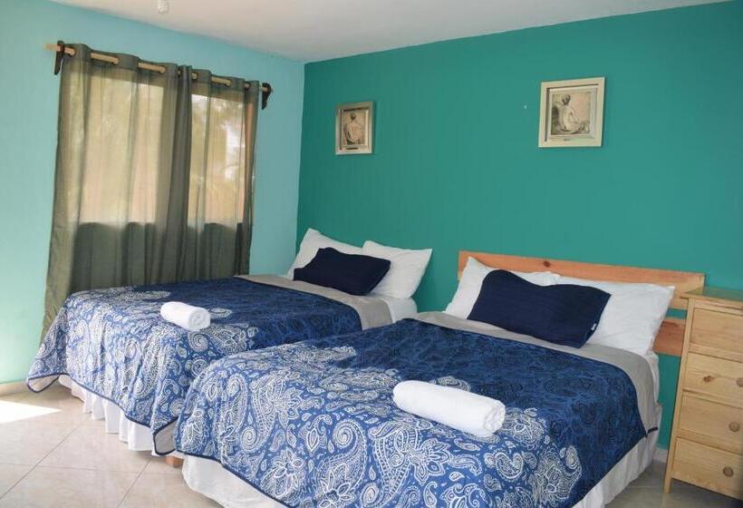 בית מלון כפרי Mansion Giahn Bed & Breakfast