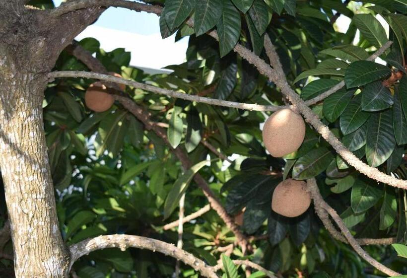 בית מלון כפרי Mansion Giahn Bed & Breakfast