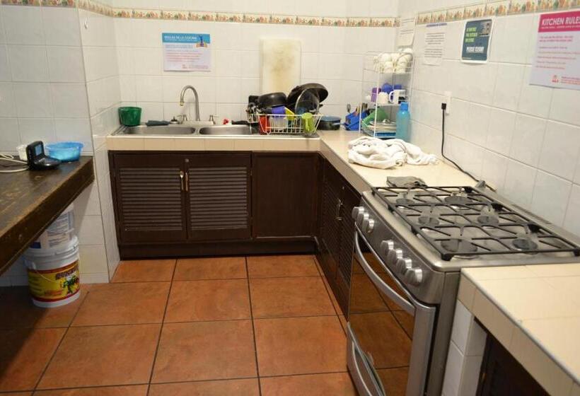 Отель Mexico City Hostel