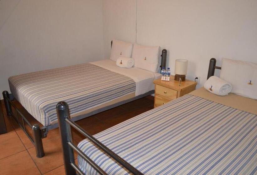 Отель Mexico City Hostel