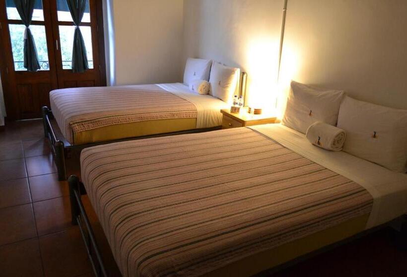 Отель Mexico City Hostel
