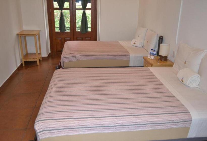 Отель Mexico City Hostel