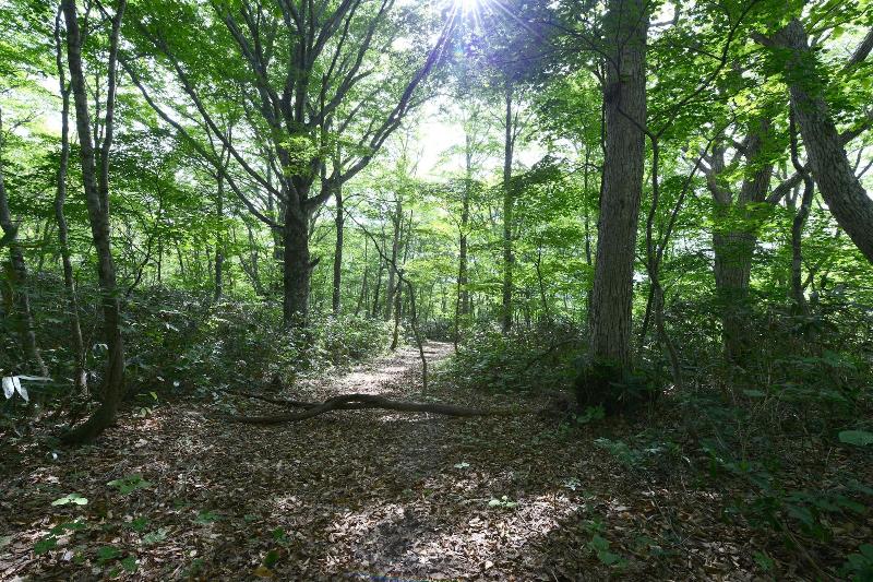 فندق Mori No Ryotei Mount Bandai