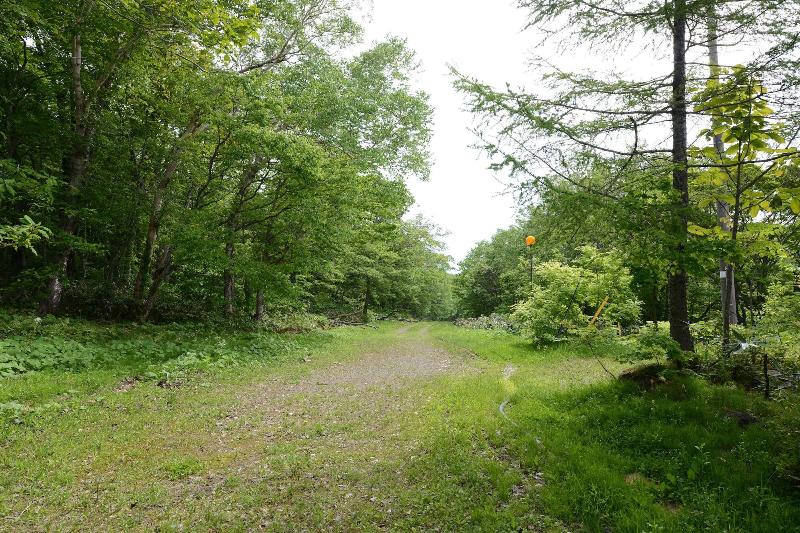 فندق Mori No Ryotei Mount Bandai