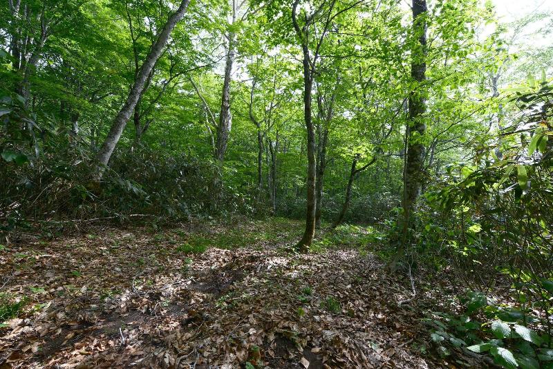 فندق Mori No Ryotei Mount Bandai