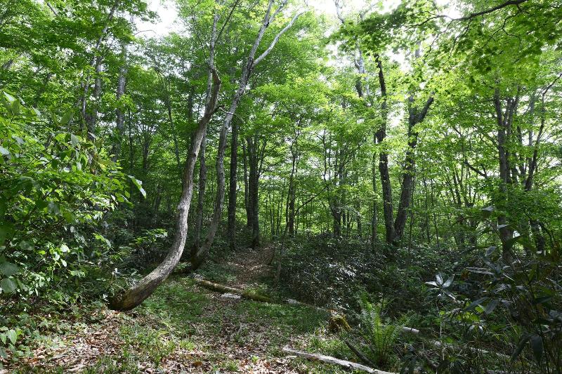 فندق Mori No Ryotei Mount Bandai