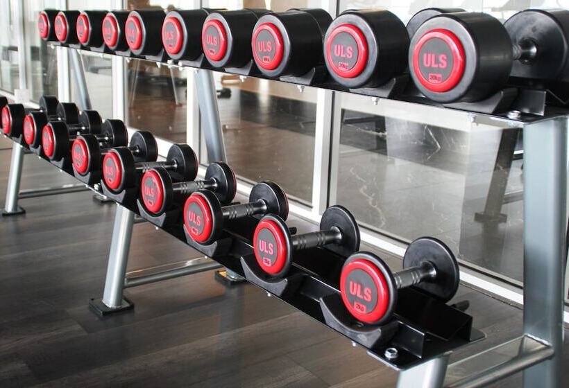 Szálloda Olive Tree