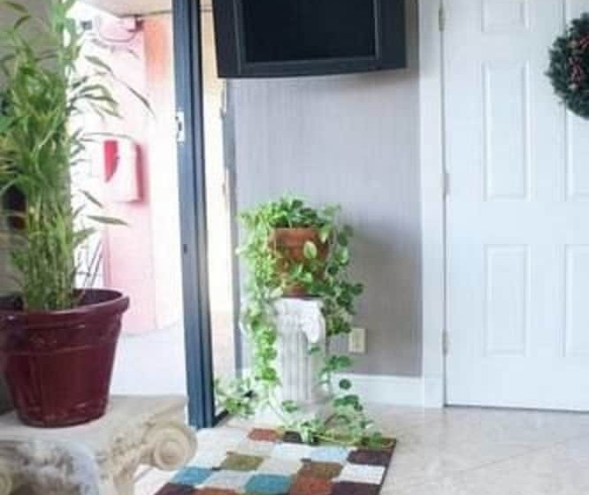 فندق Polynesian Inn