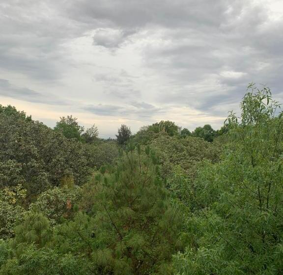 فندق Posada Santa Fe