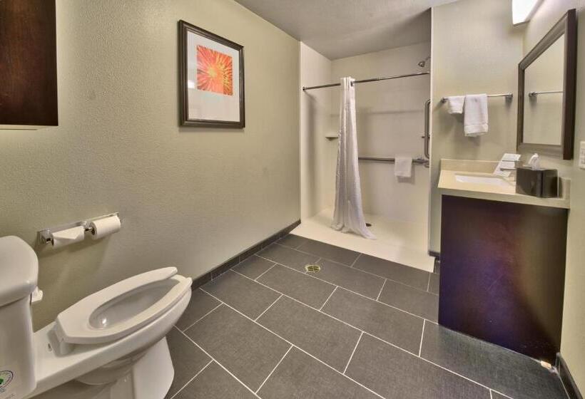 בית מלון כפרי Staybridge Suites Lubbock South, An Ihg