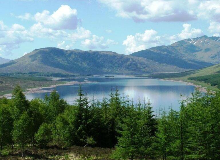 فندق The Loch Lomond Arms