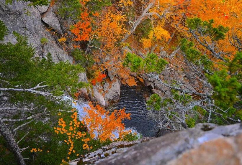 فندق The Lodge At Jackson Village