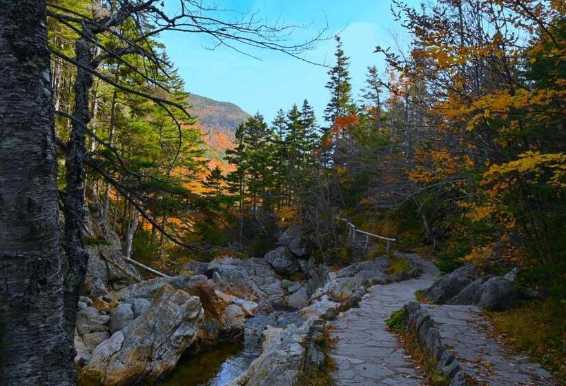 فندق The Lodge At Jackson Village