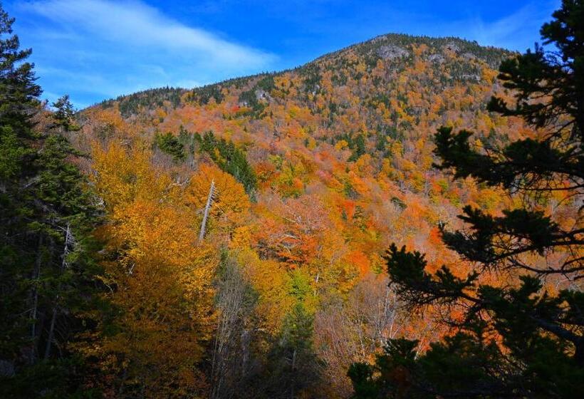 فندق The Lodge At Jackson Village