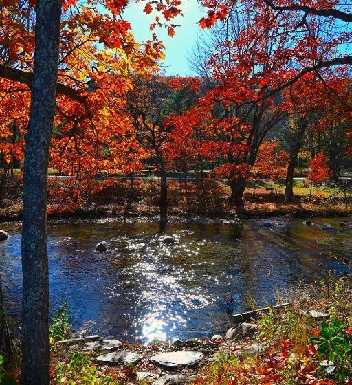 فندق The Lodge At Jackson Village
