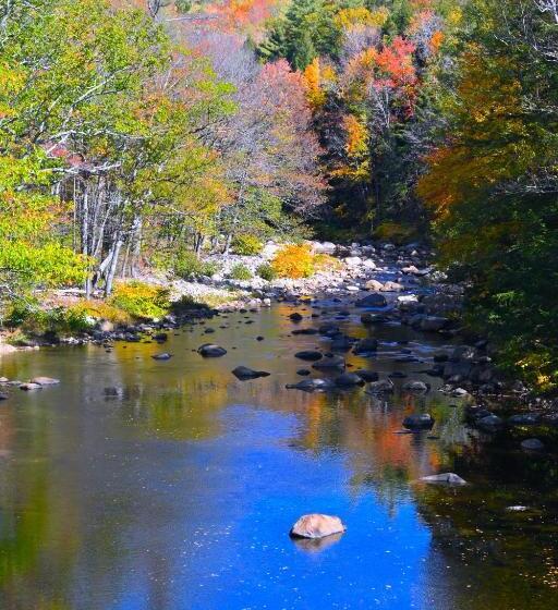 فندق The Lodge At Jackson Village