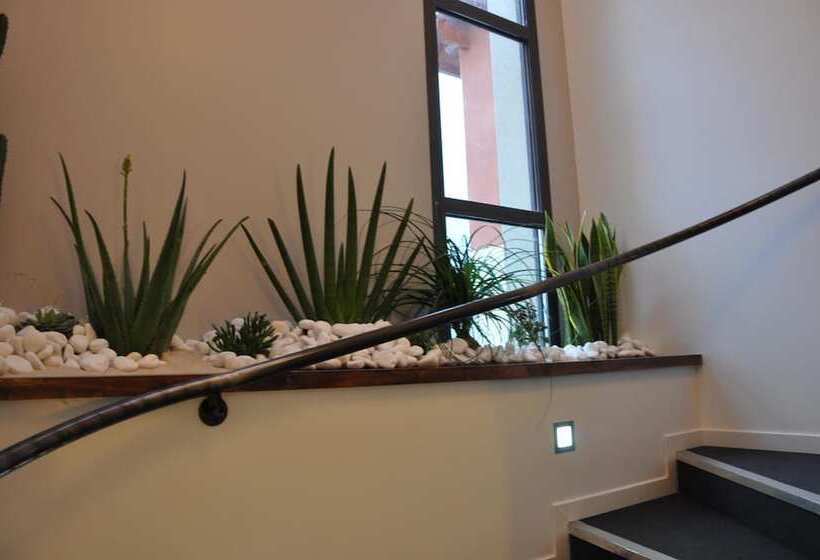 בית מלון כפרי The Originals City, Hôtel Des Arts, Montauban