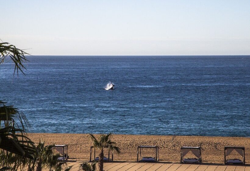فندق The Towers At Pueblo Bonito Pacifica   All Inclusive   Adults Only