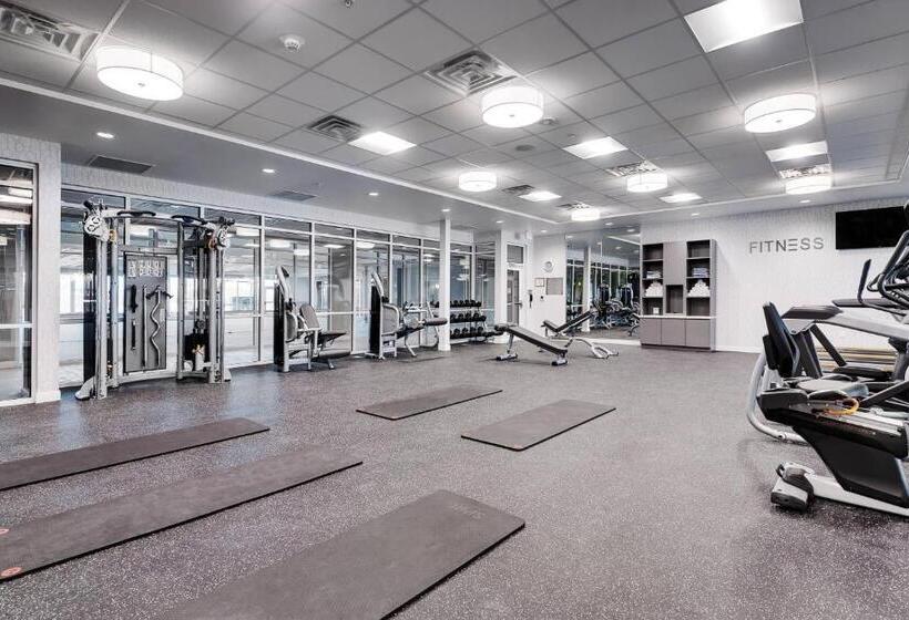 Отель Towneplace Suites By Marriott Chicago Schaumburg