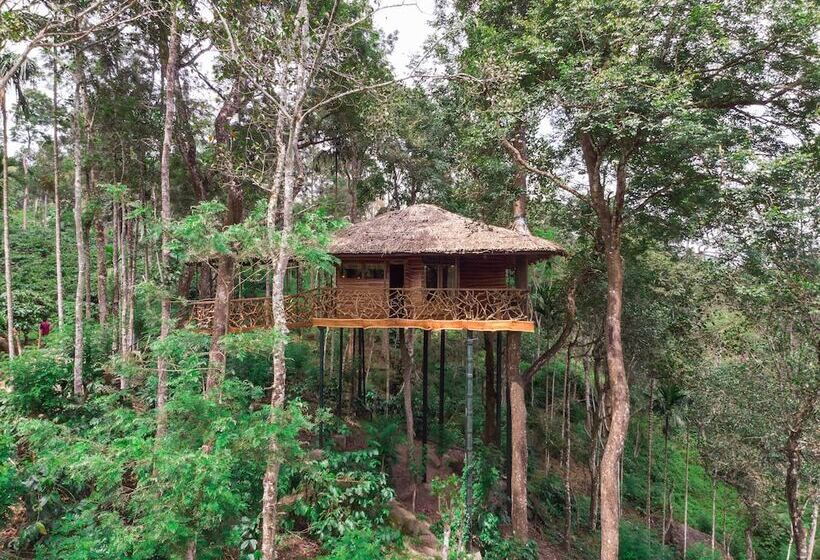 ホテル Tranquil Resort Wayanad