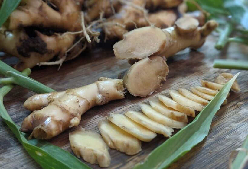 ホテル Tranquil Resort Wayanad