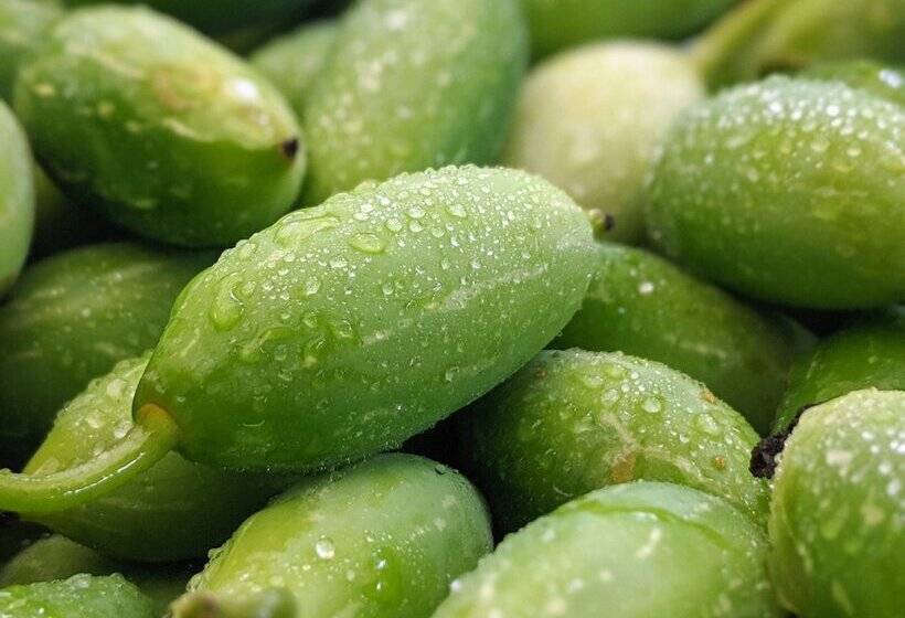 ホテル Tranquil Resort Wayanad