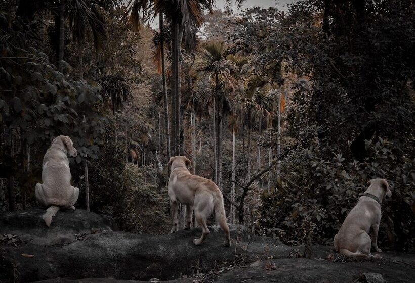 ホテル Tranquil Resort Wayanad