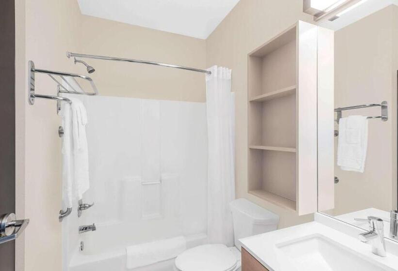 Microtel Inn & Suites By Wyndham Binghamton