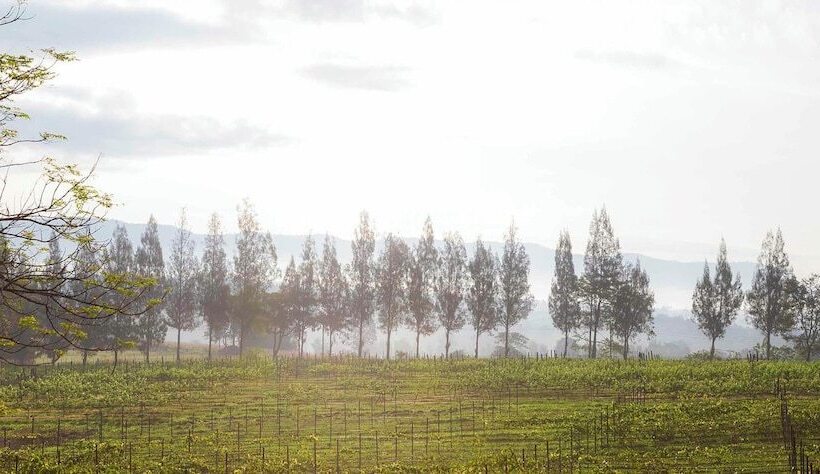 منتجع Village Farm & Winery