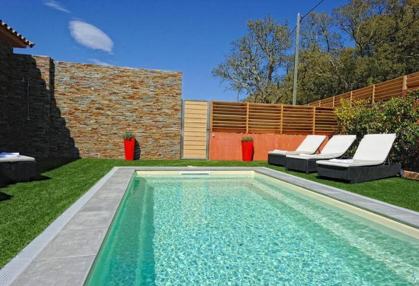 Résidence Dolce Vita De Palombaggia