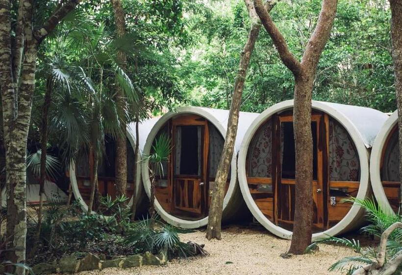 Tubo Tulum Hostel