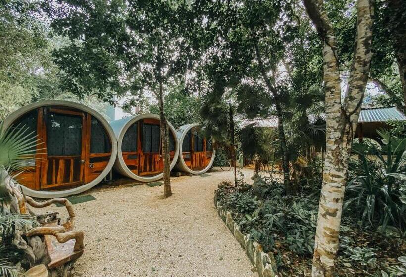 Tubo Tulum Hostel