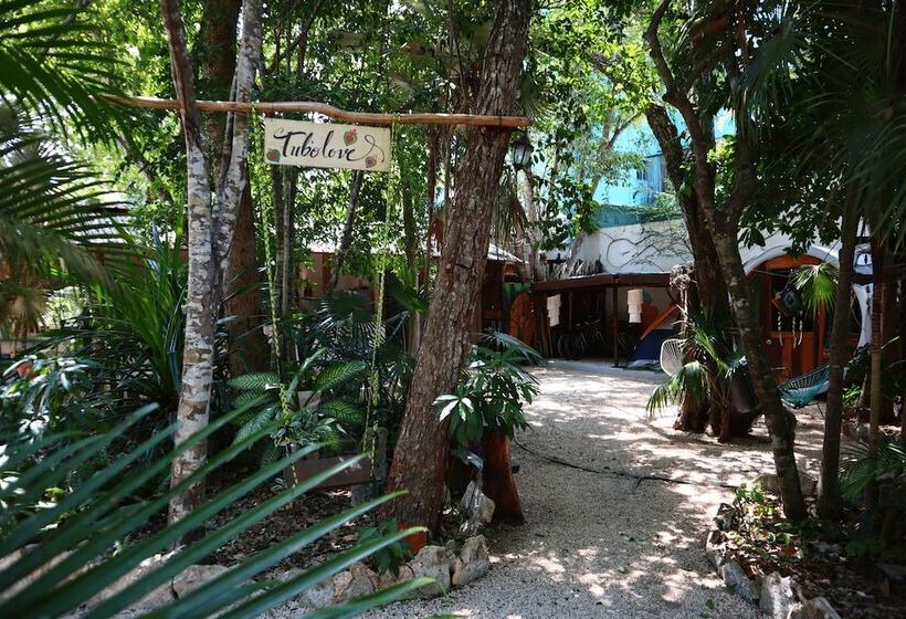 Tubo Tulum Hostel