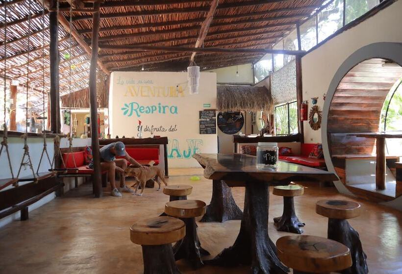 Tubo Tulum Hostel