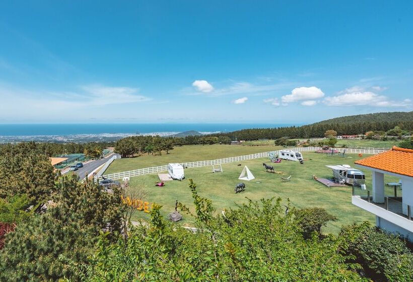 Amber Pure Hill Hotels & Resorts Jeju