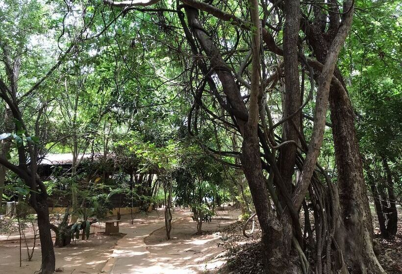 호텔 Inn On The Tree Eco Resort Sigiriya