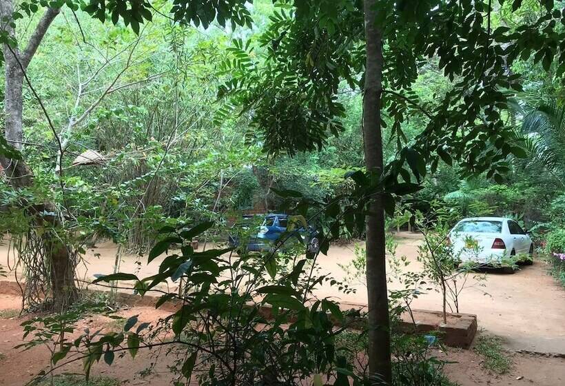 호텔 Inn On The Tree Eco Resort Sigiriya