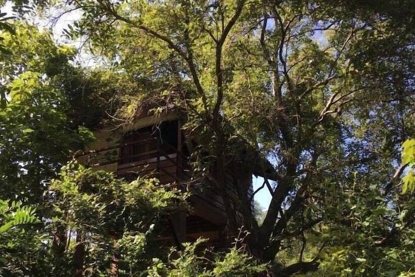 호텔 Inn On The Tree Eco Resort Sigiriya