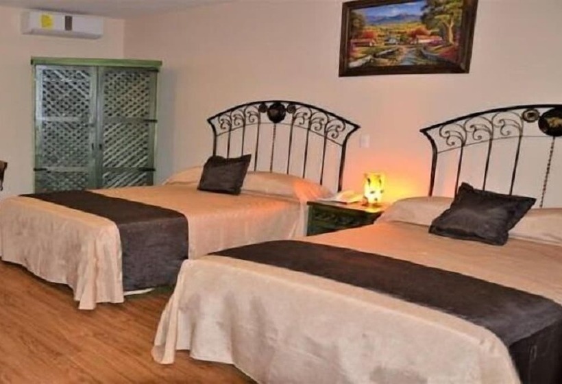 فندق Plaza Pachuca