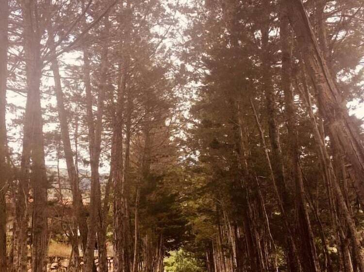 펜션 Lo Nuestro   Hospedería