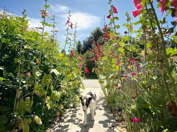 بنسيون Mitchella Farm Bed & Breakfast