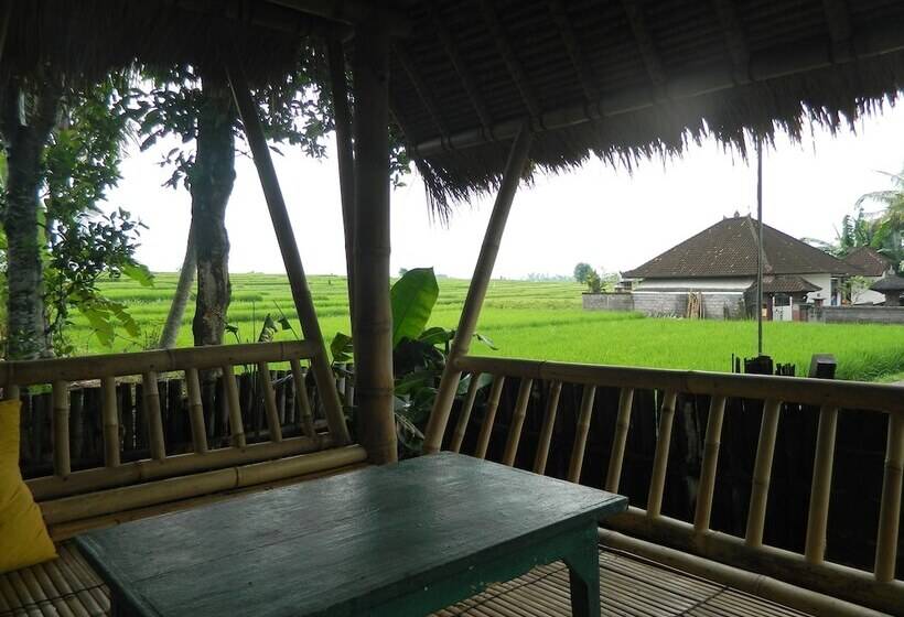 בית מלון כפרי D'tegale Homestay