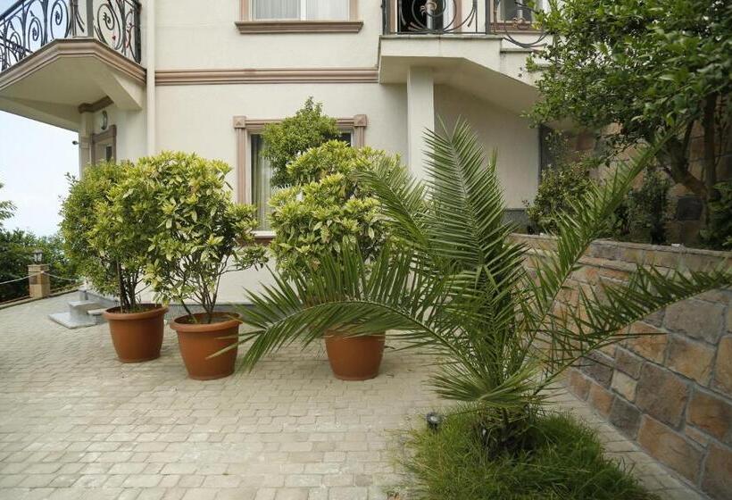 تختخواب و صبحانه Mount Villa Kvariati