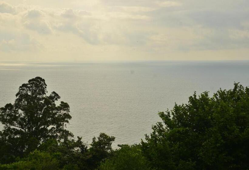 تختخواب و صبحانه Mount Villa Kvariati