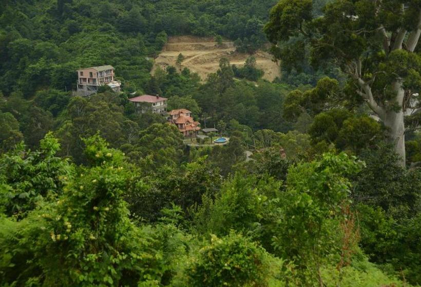 تختخواب و صبحانه Mount Villa Kvariati