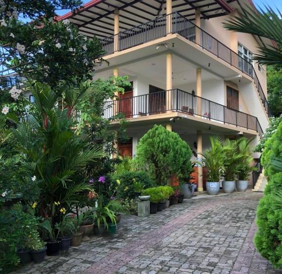 Coral Palm Villa And Apartment