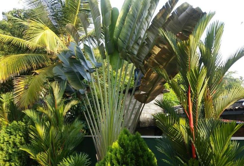 Coral Palm Villa And Apartment